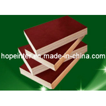 Sell Shuttering Film Faced Plywood/Marine Plywood with Logo